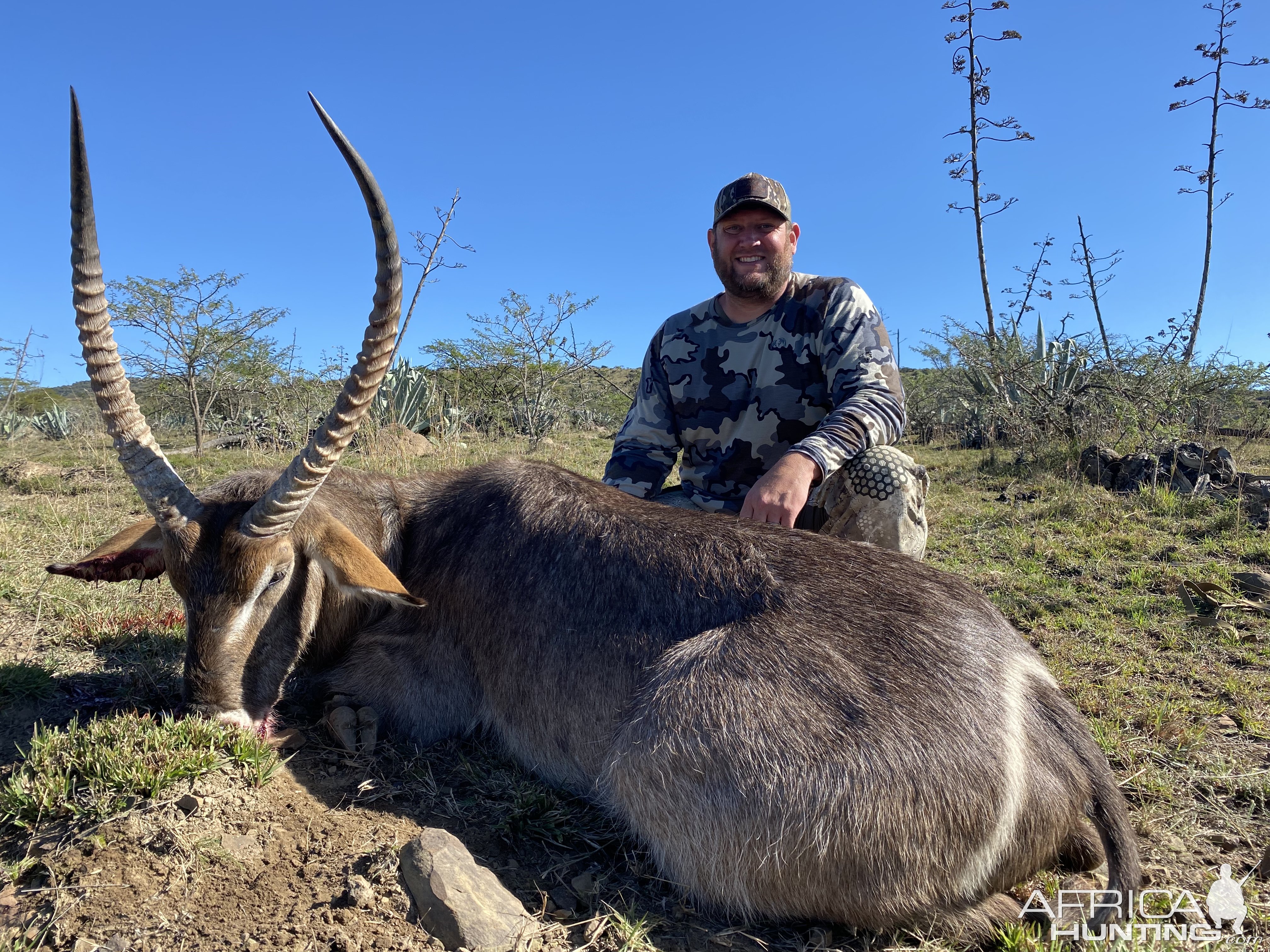 Waterbuck Hunting South Africa