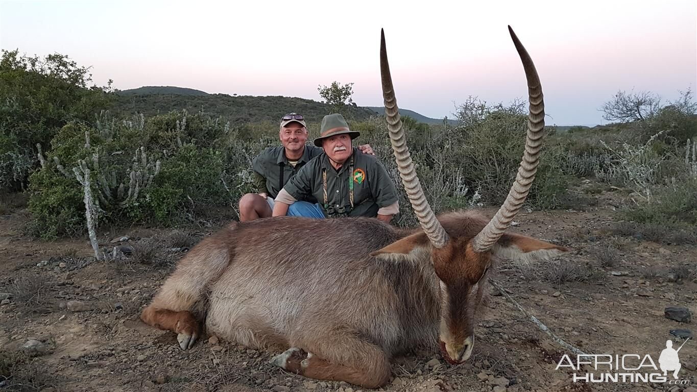 Waterbuck Hunting South Africa