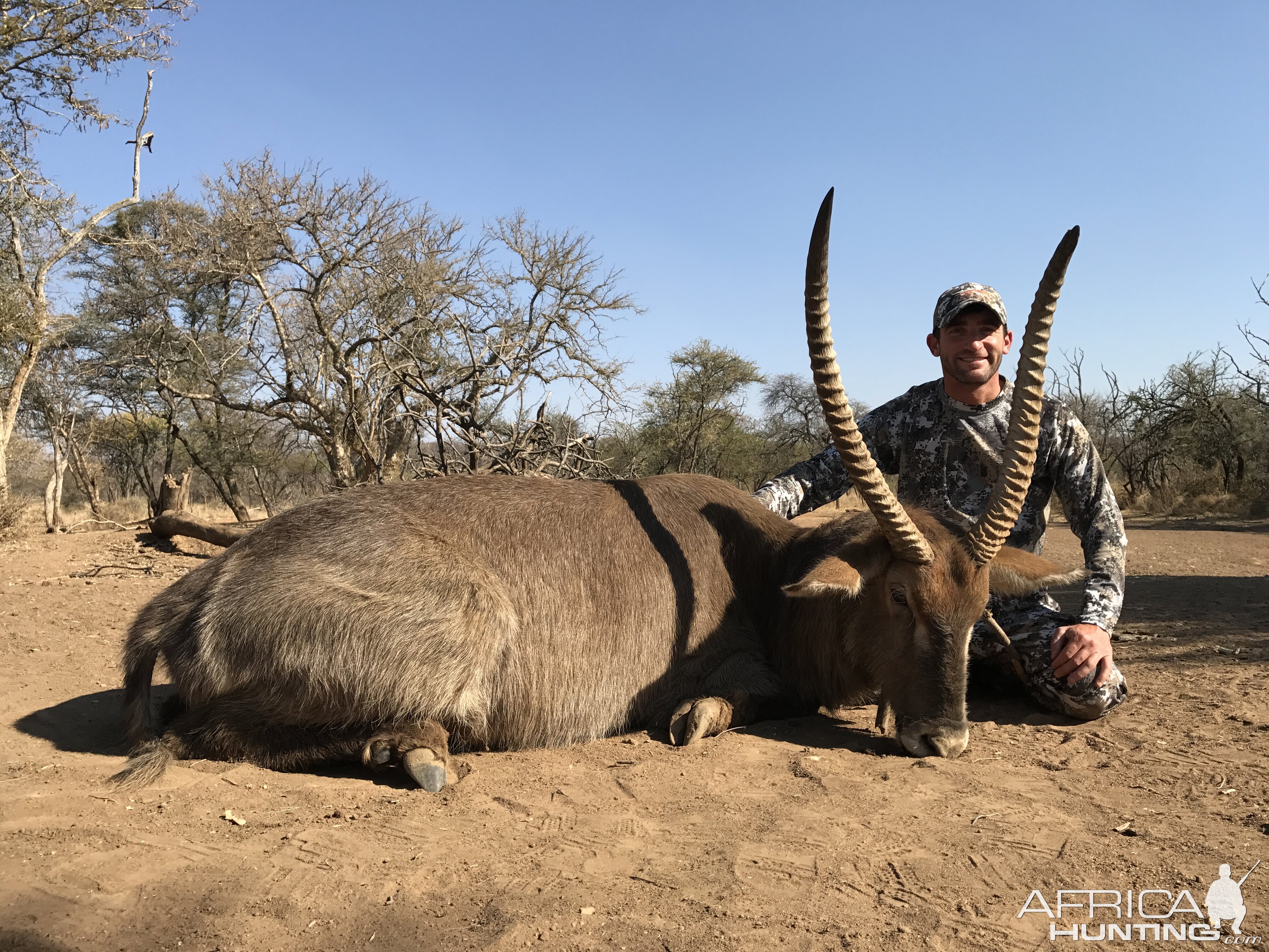 Waterbuck Hunting South Africa