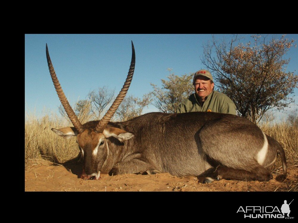 Waterbuck Hunting South Africa