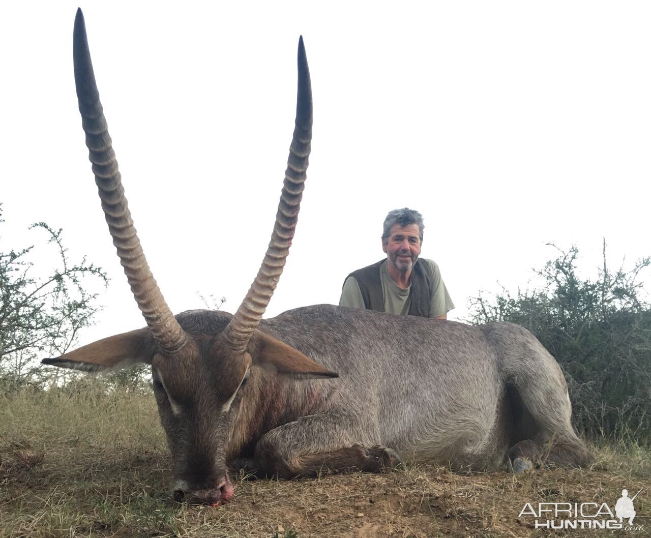 Waterbuck Hunting South Africa