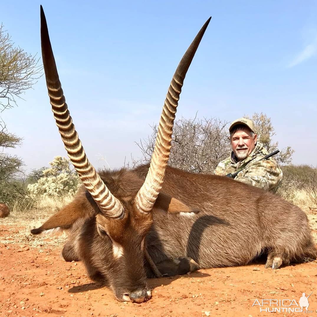 Waterbuck Hunting South Africa