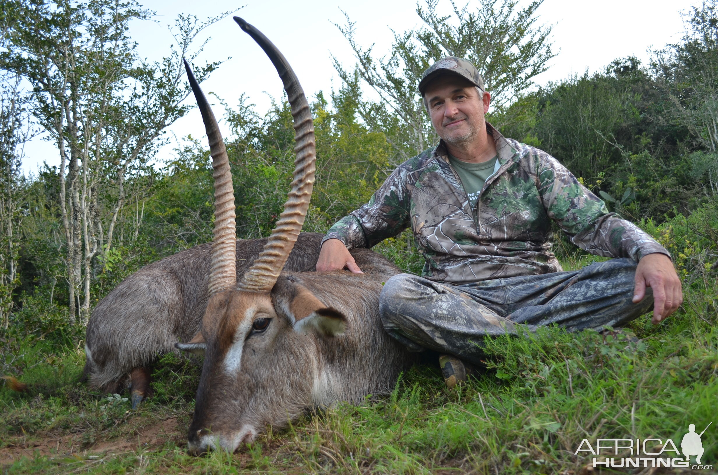 Waterbuck Hunting South Africa