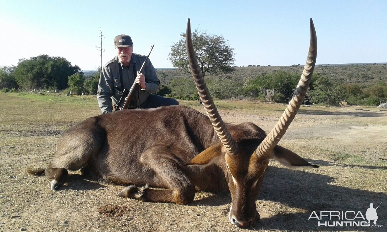 Waterbuck Hunting South Africa