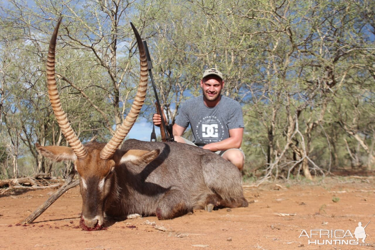 Waterbuck Hunting South Africa