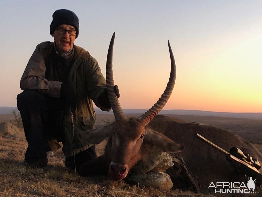 Waterbuck Hunting South Africa