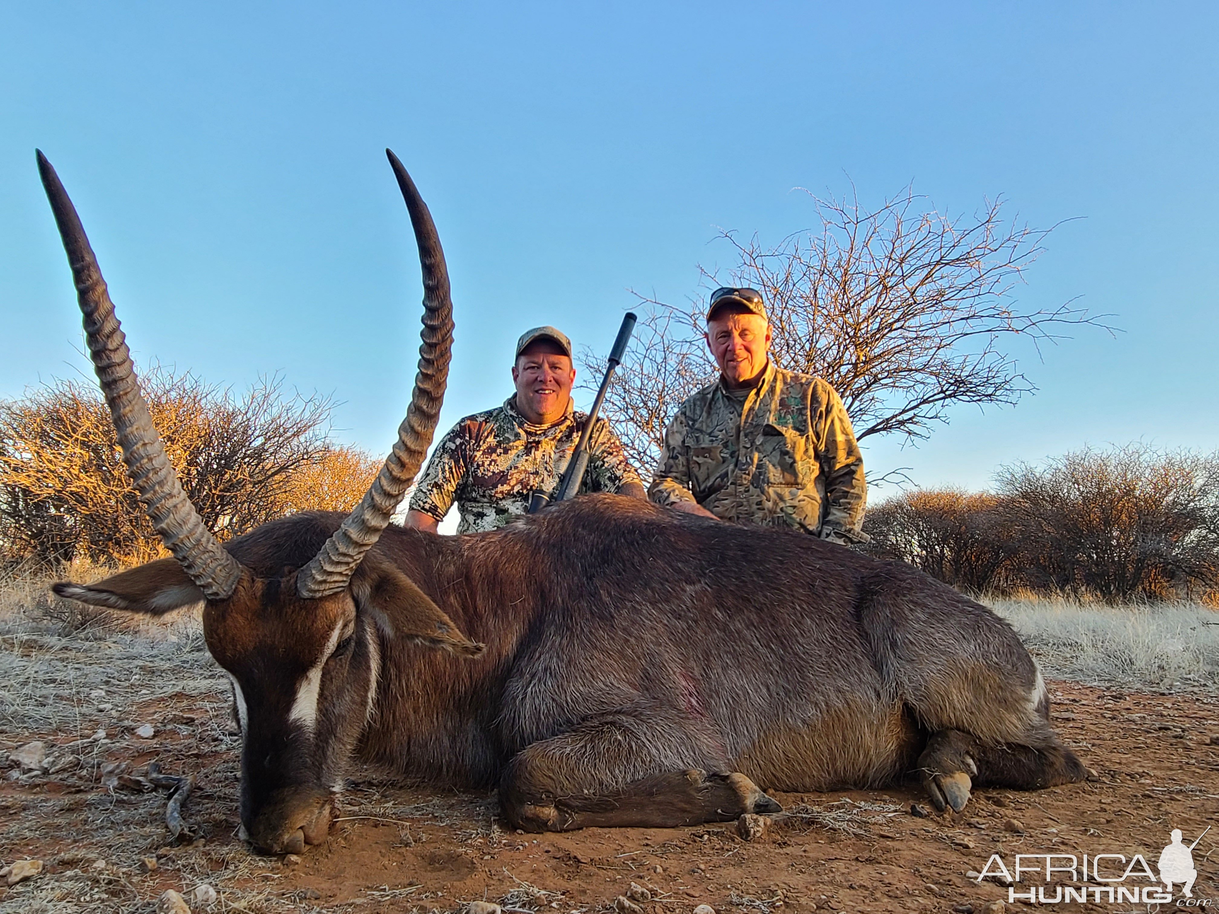 Waterbuck Hunting