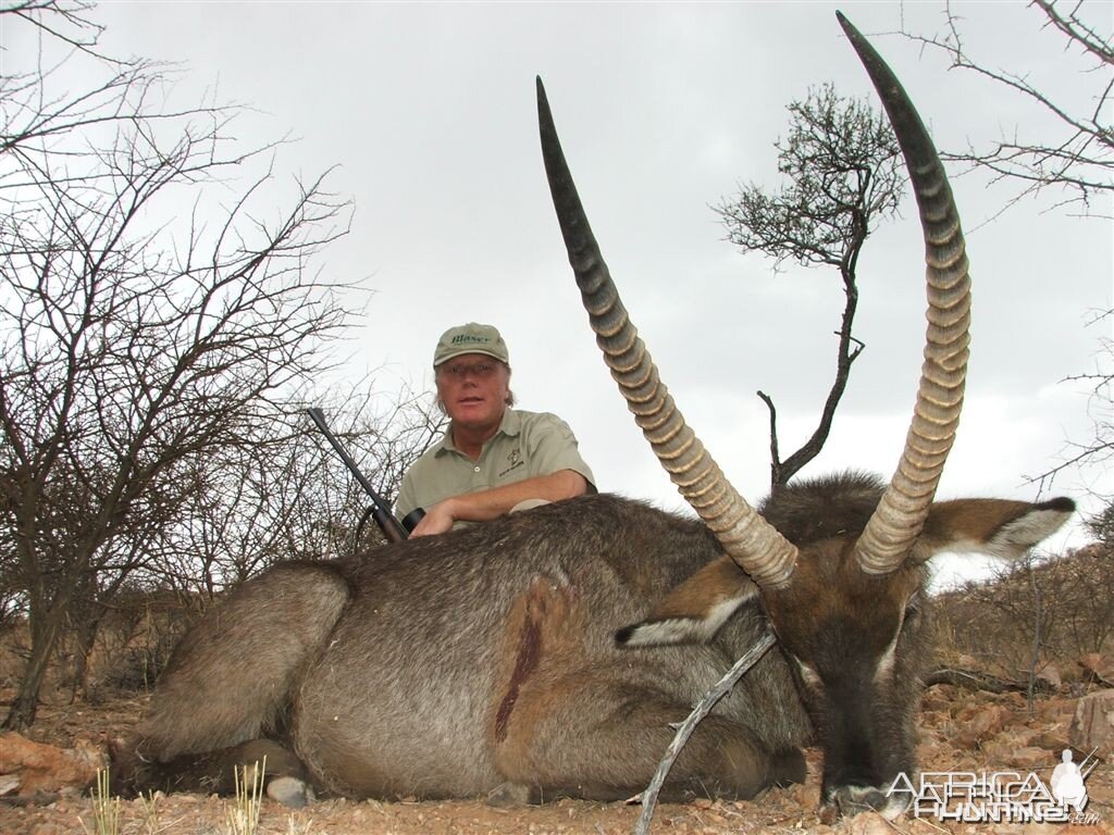 Waterbuck Namibia