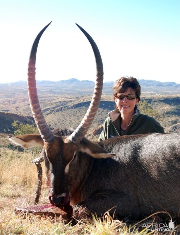 Waterbuck (Namibia)