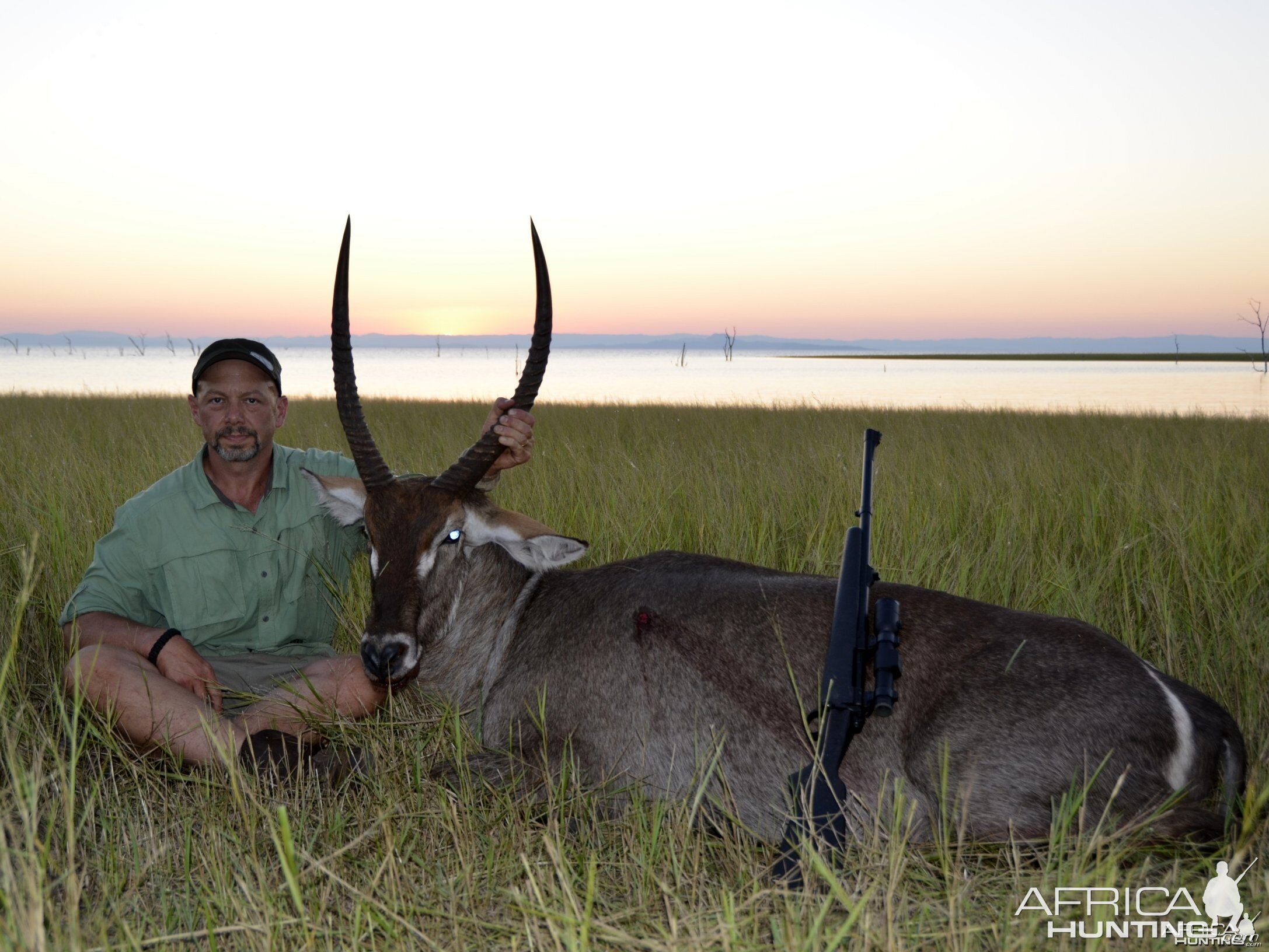 Waterbuck, shores of Lake Kariba