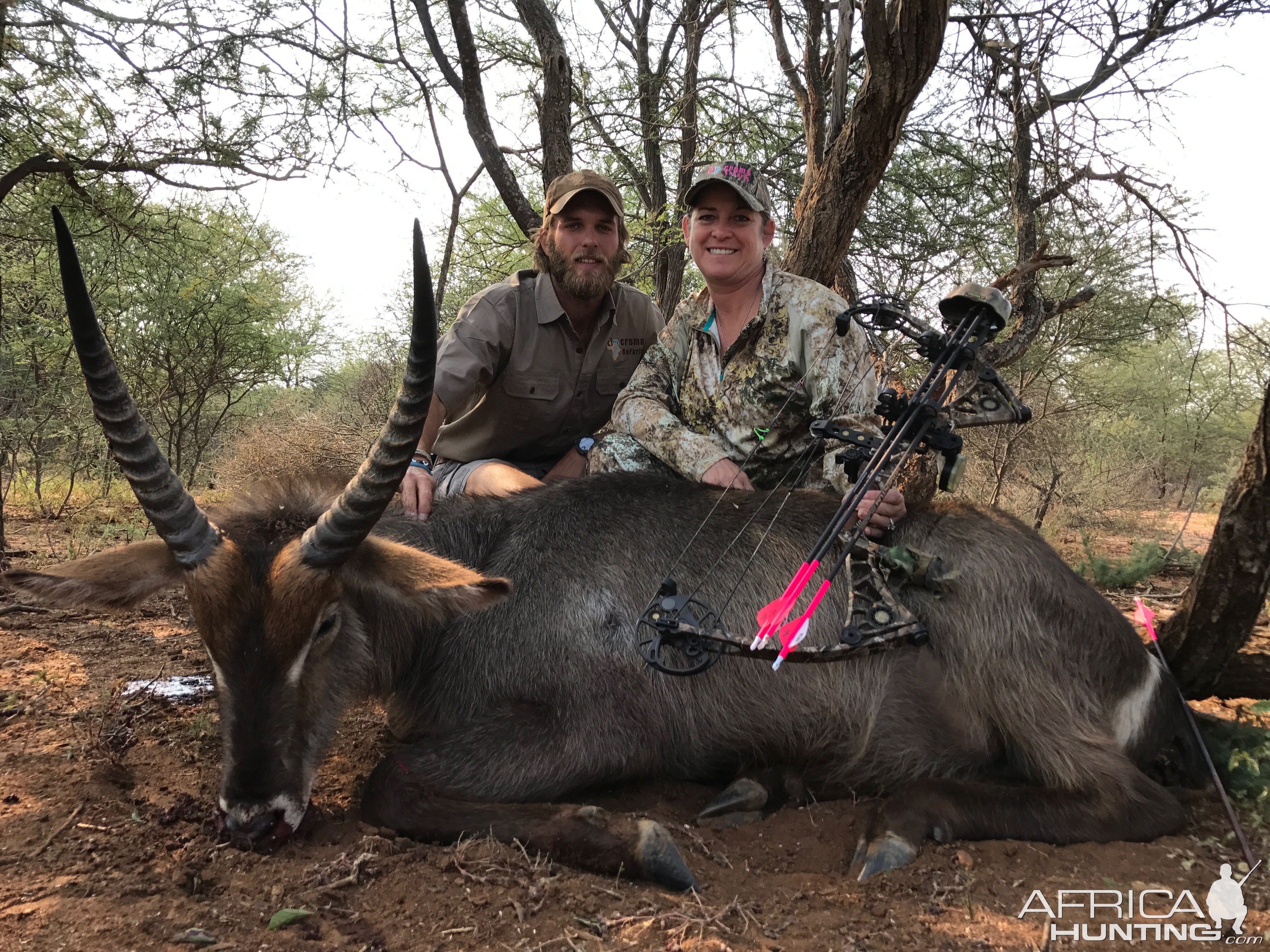 Waterbuck South Africa Bow Hunt