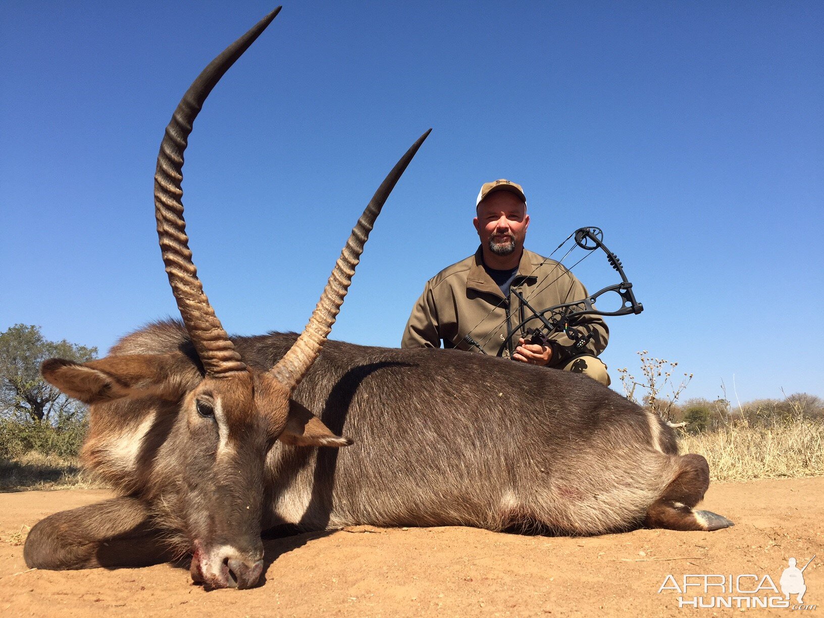 Waterbuck South Africa Bow Hunt