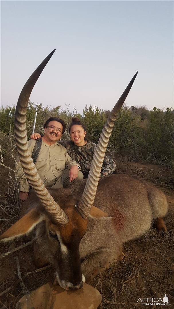 Waterbuck South Africa Hunt