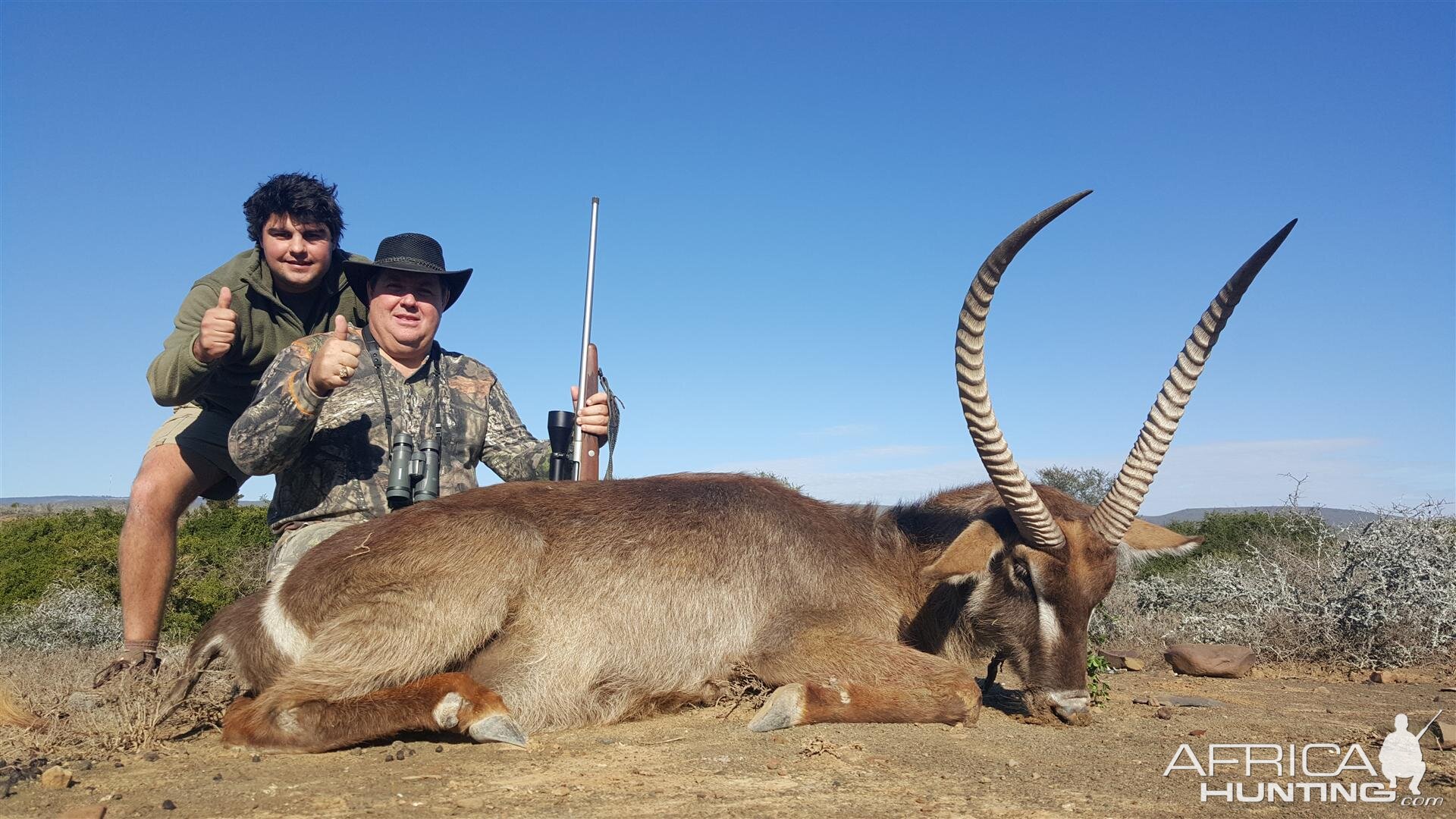 Waterbuck South Africa Hunt