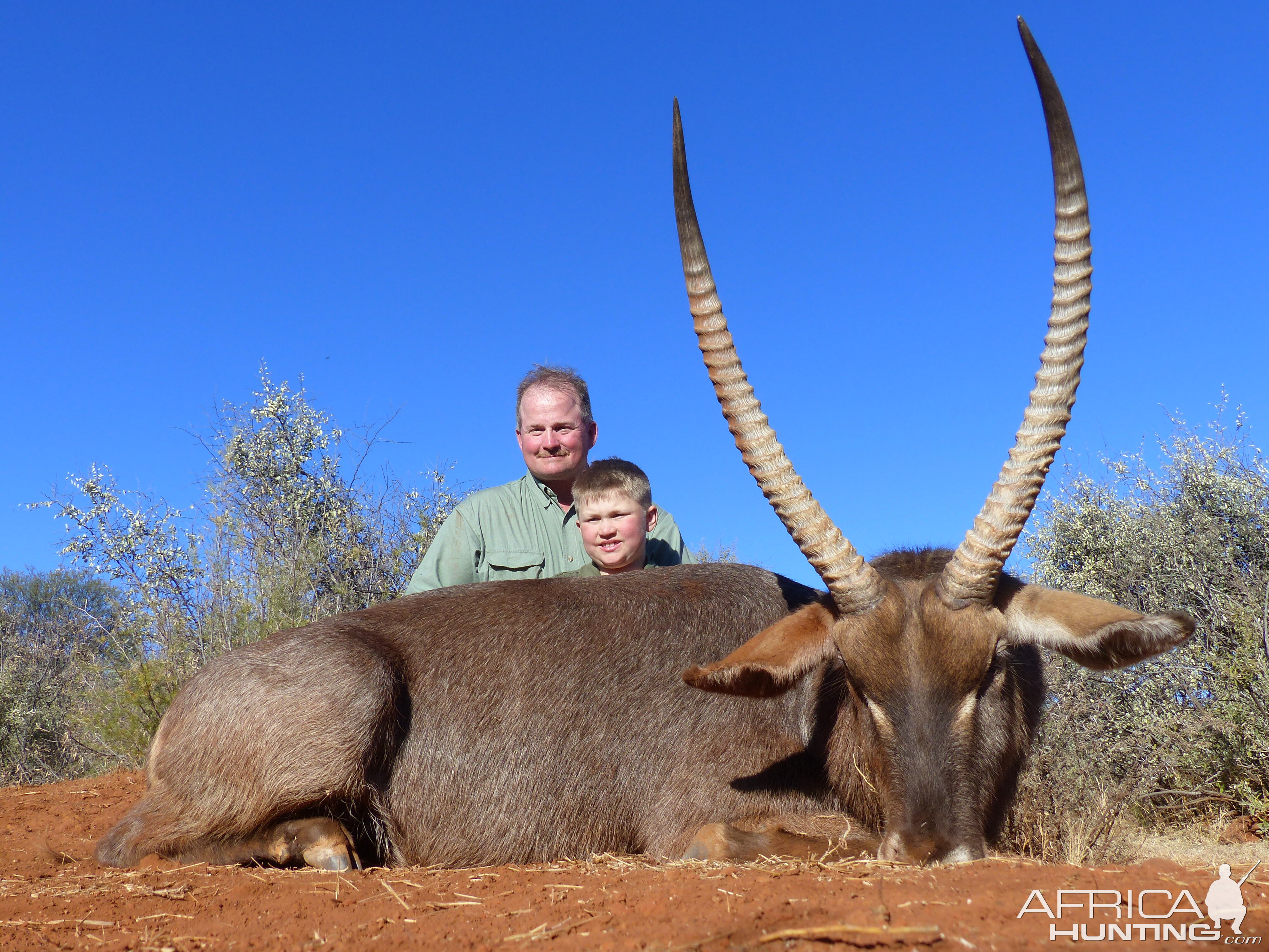 Waterbuck South Africa Hunt