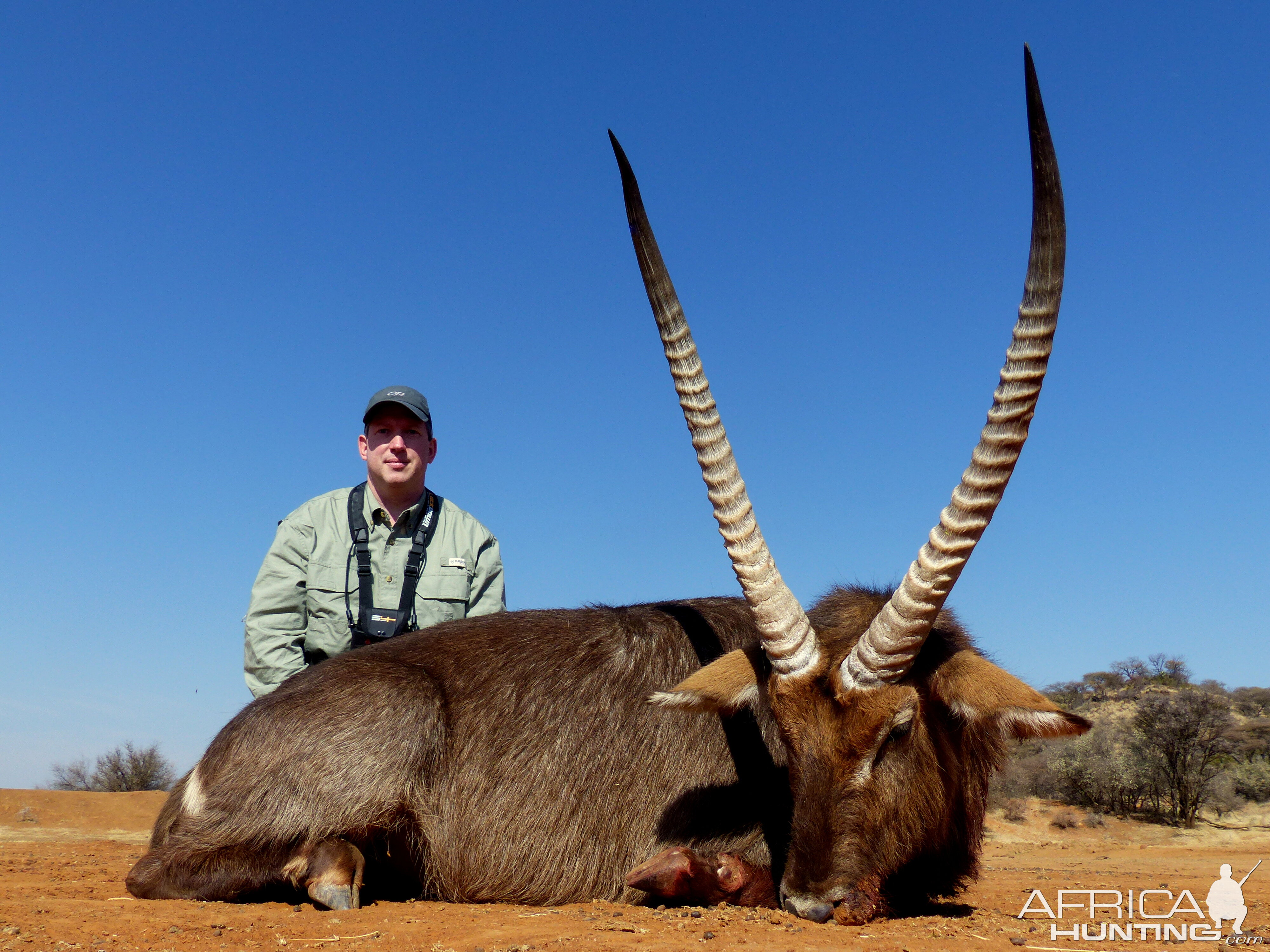 Waterbuck South Africa Hunt