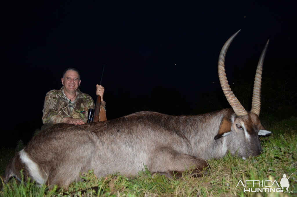 Waterbuck South Africa Hunt