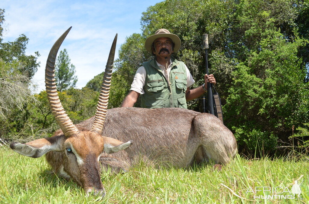 Waterbuck South Africa Hunt