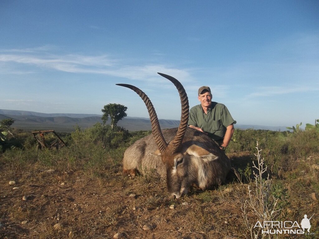 Waterbuck South Africa Hunt