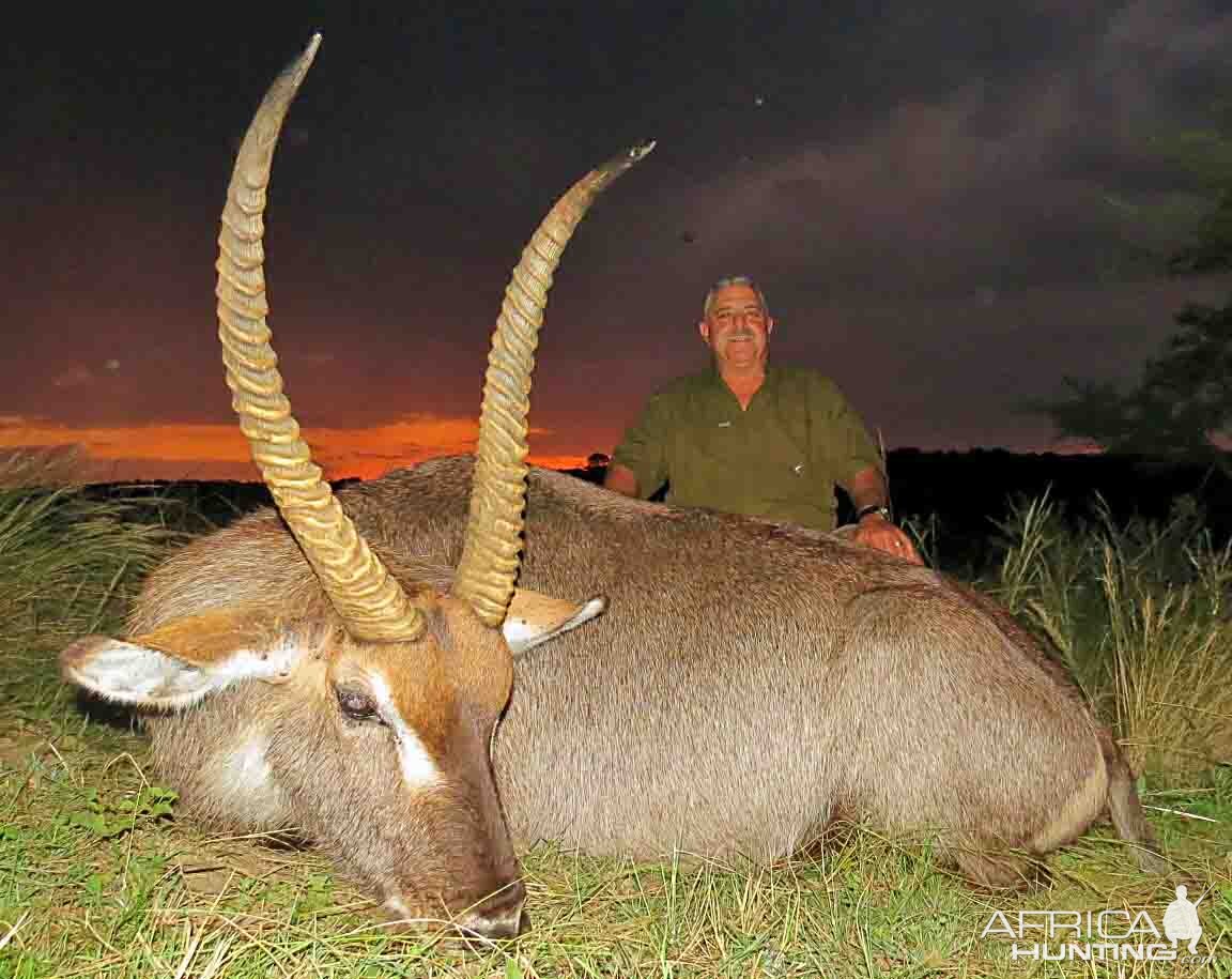 Waterbuck South Africa Hunt