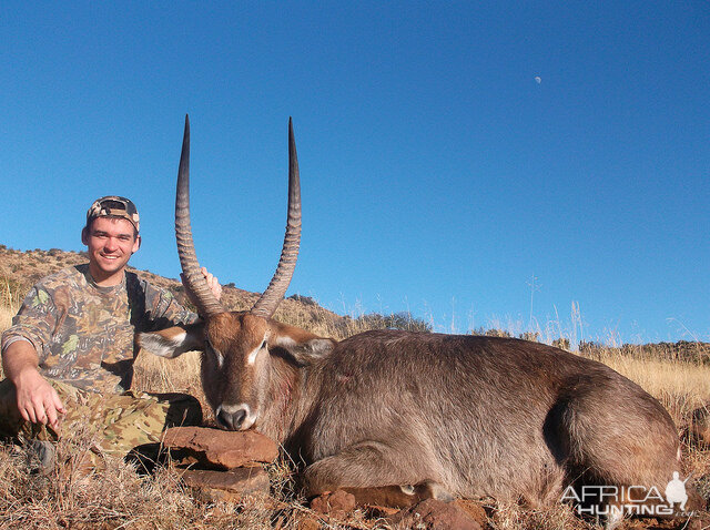 Waterbuck South Africa Hunt