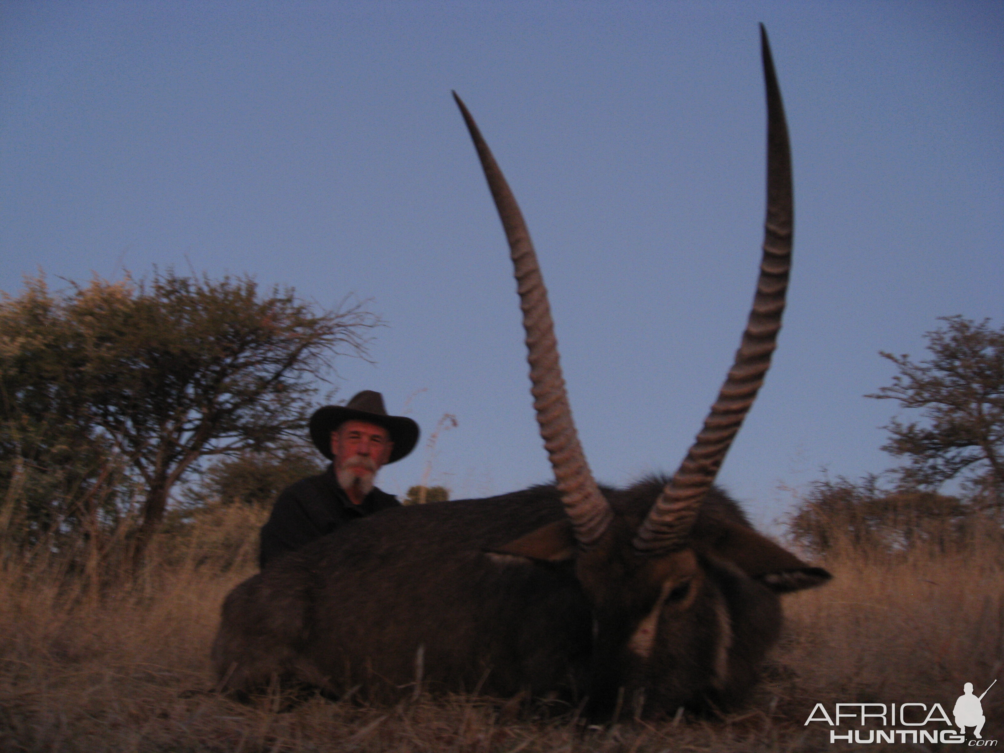 Waterbuck South Africa Hunt