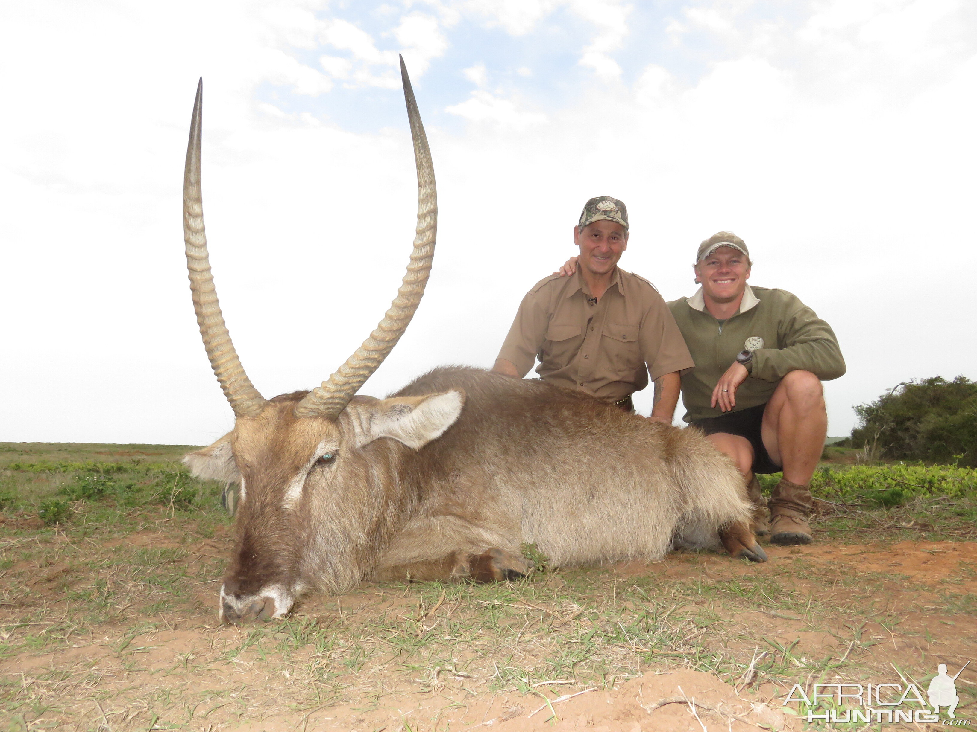 Waterbuck South Africa Hunt