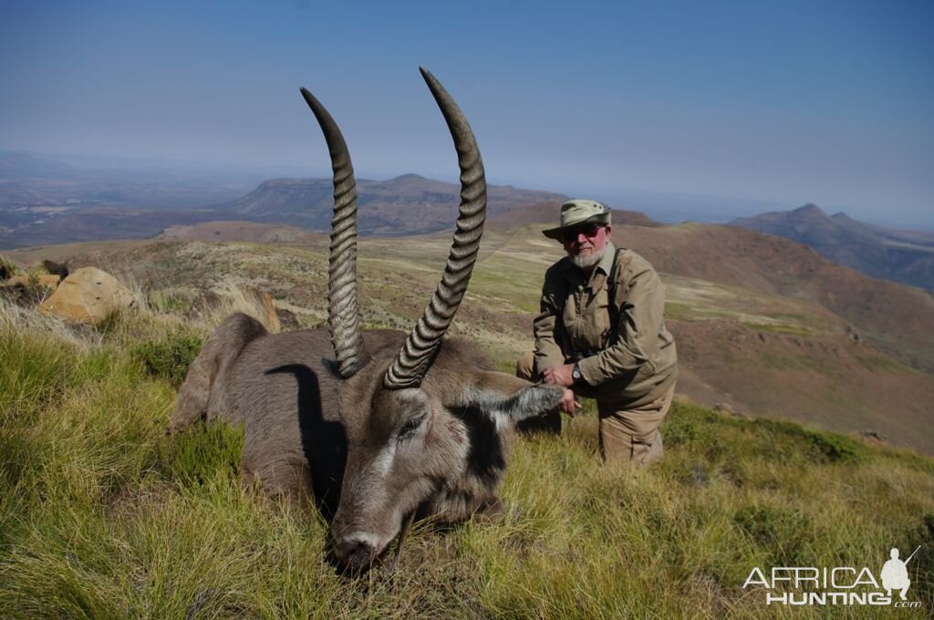 Waterbuck South Africa Hunt