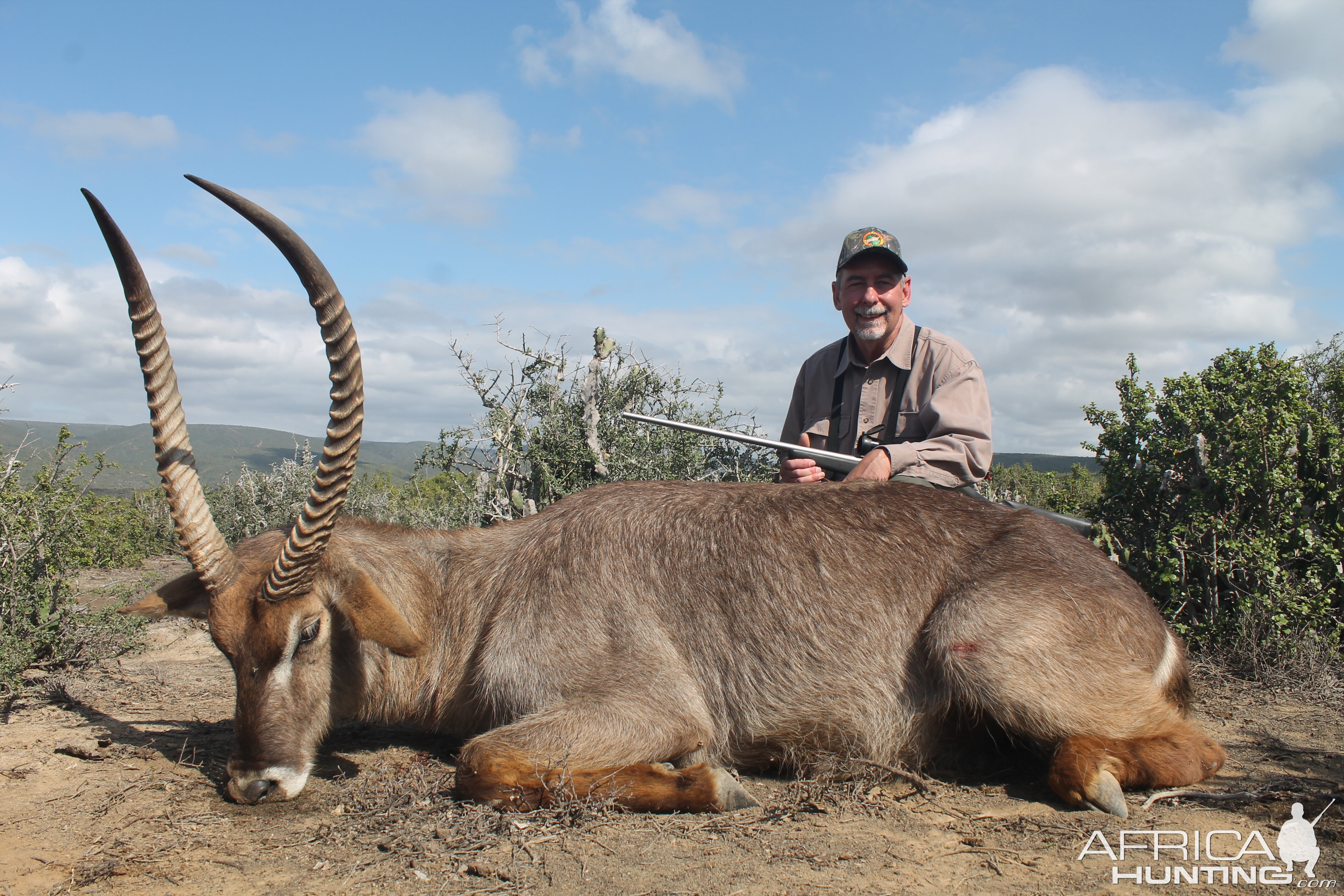 Waterbuck South Africa Hunt