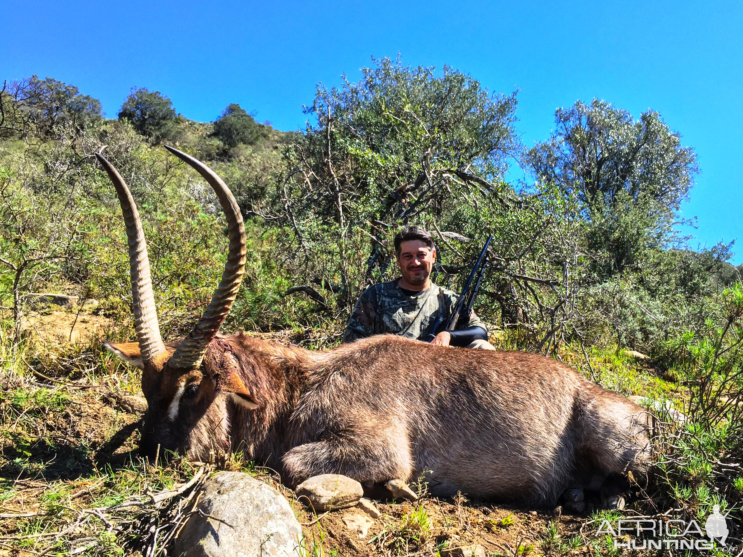 Waterbuck South Africa Hunt