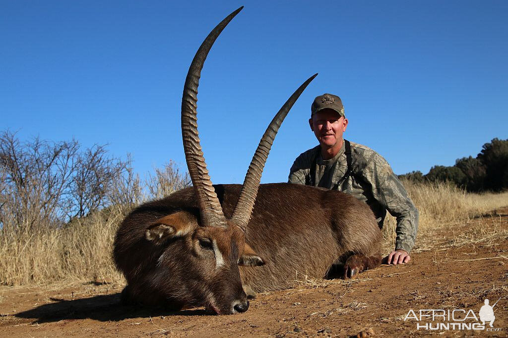 Waterbuck South Africa Hunt