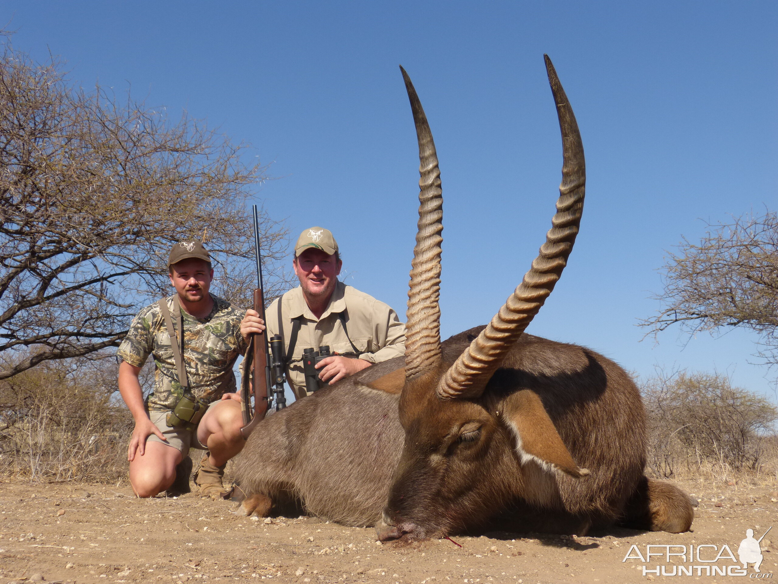 Waterbuck South Africa Hunt