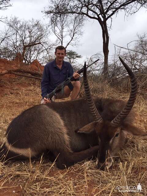 Waterbuck South Africa Hunt