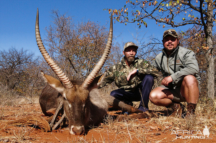 Waterbuck South Africa Hunt