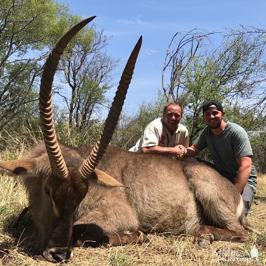 Waterbuck South Africa Hunt