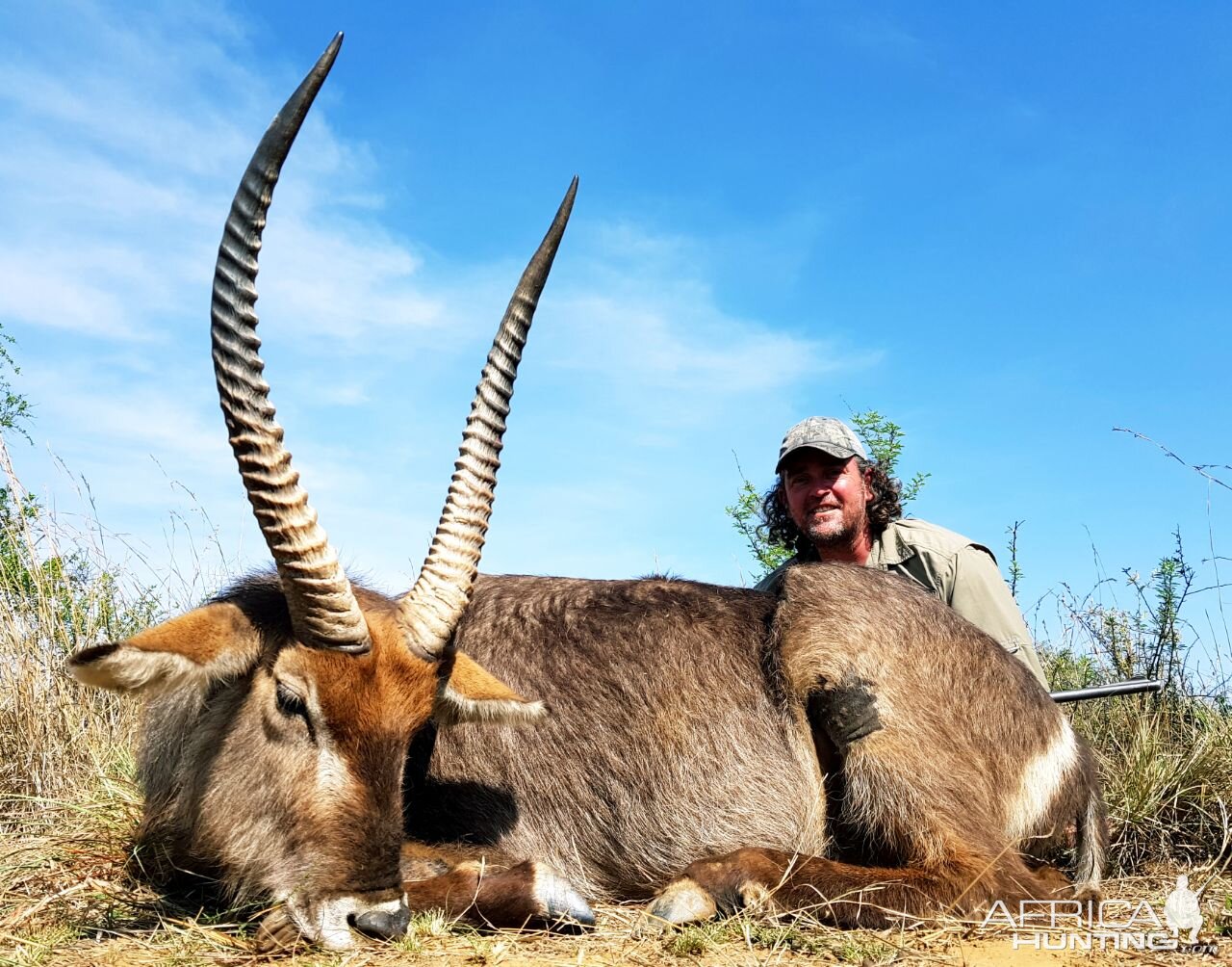 Waterbuck South Africa Hunt