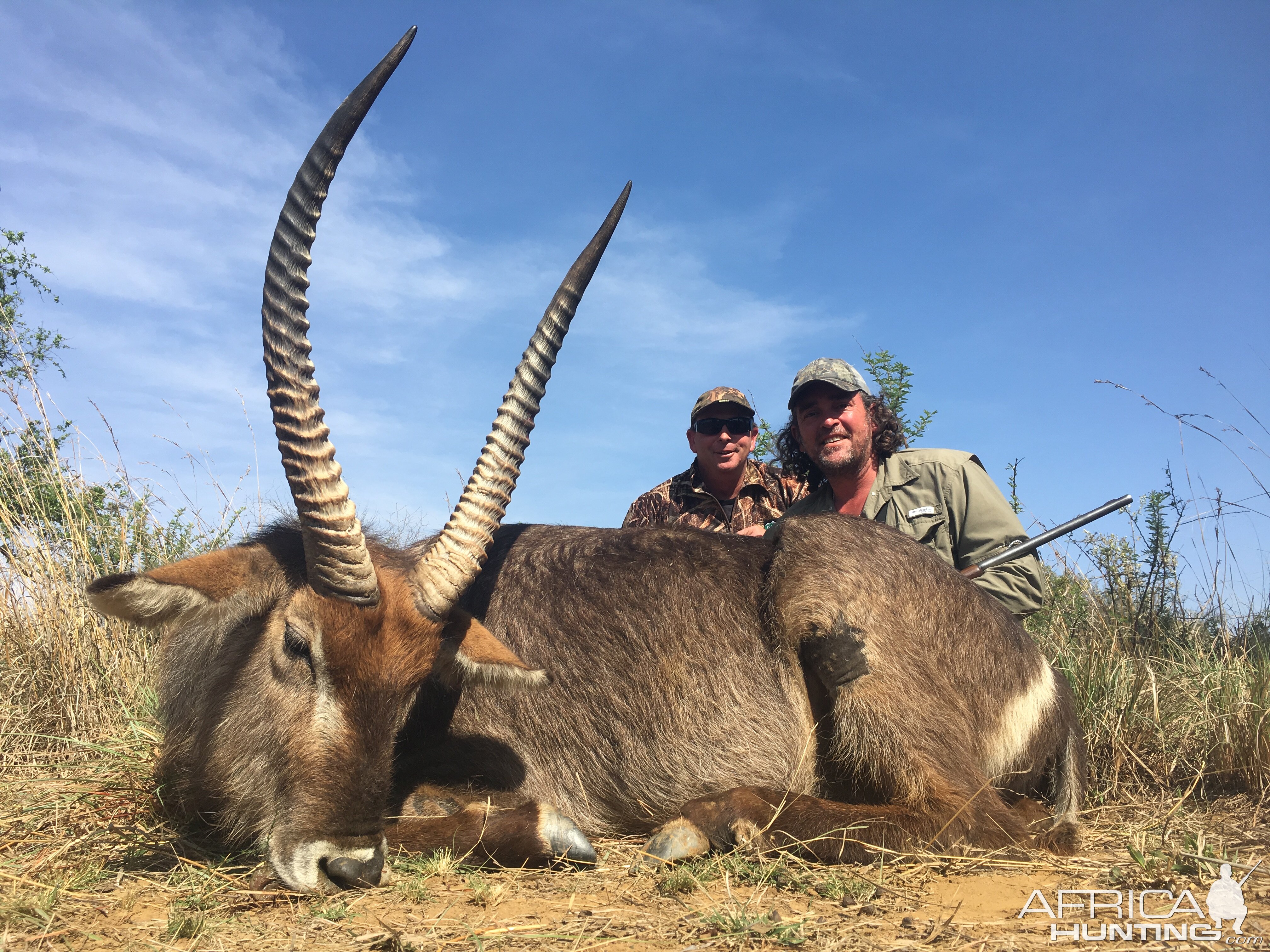 Waterbuck South Africa Hunt