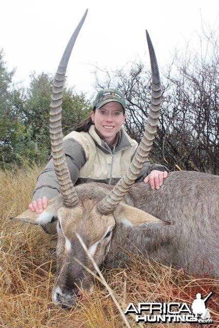 Waterbuck - South Africa