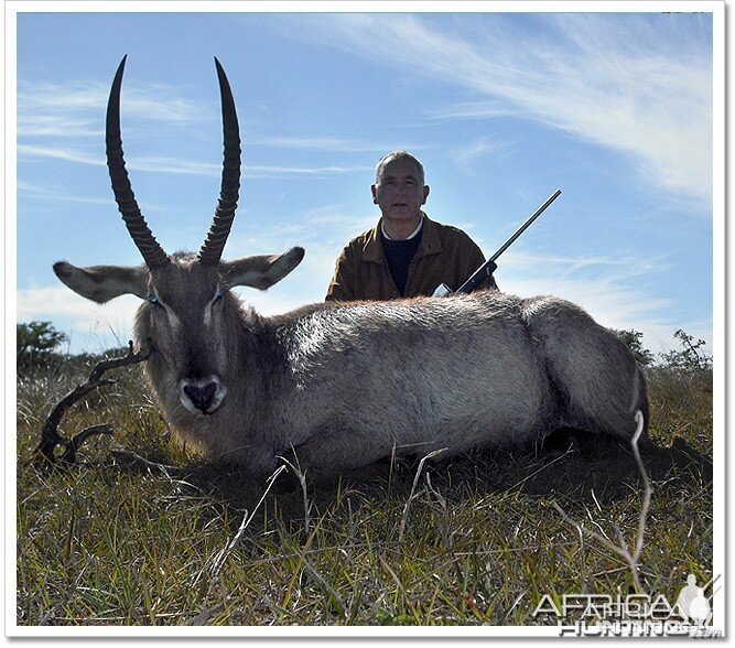 Waterbuck South Africa