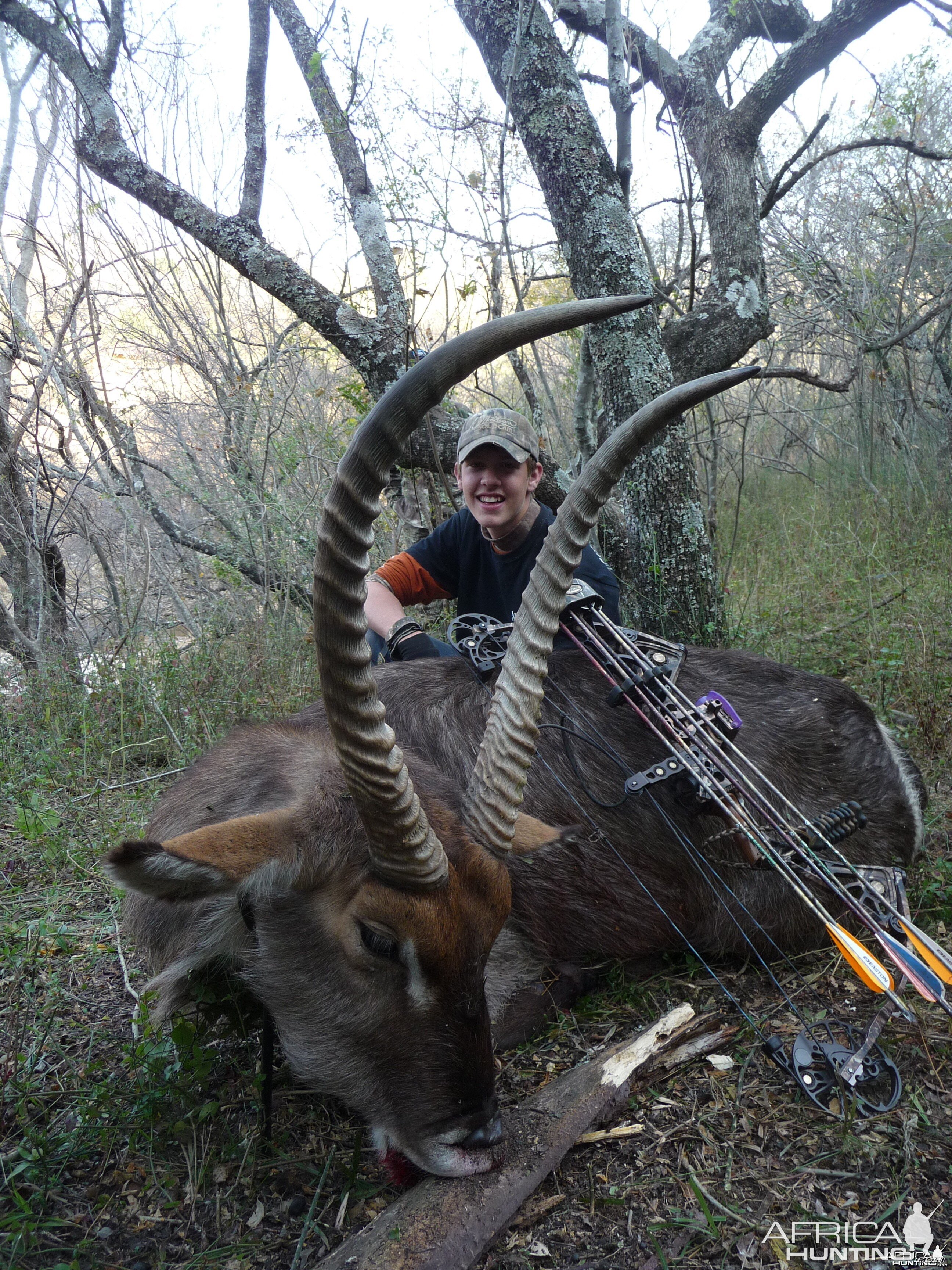 WaterBuck with a bow