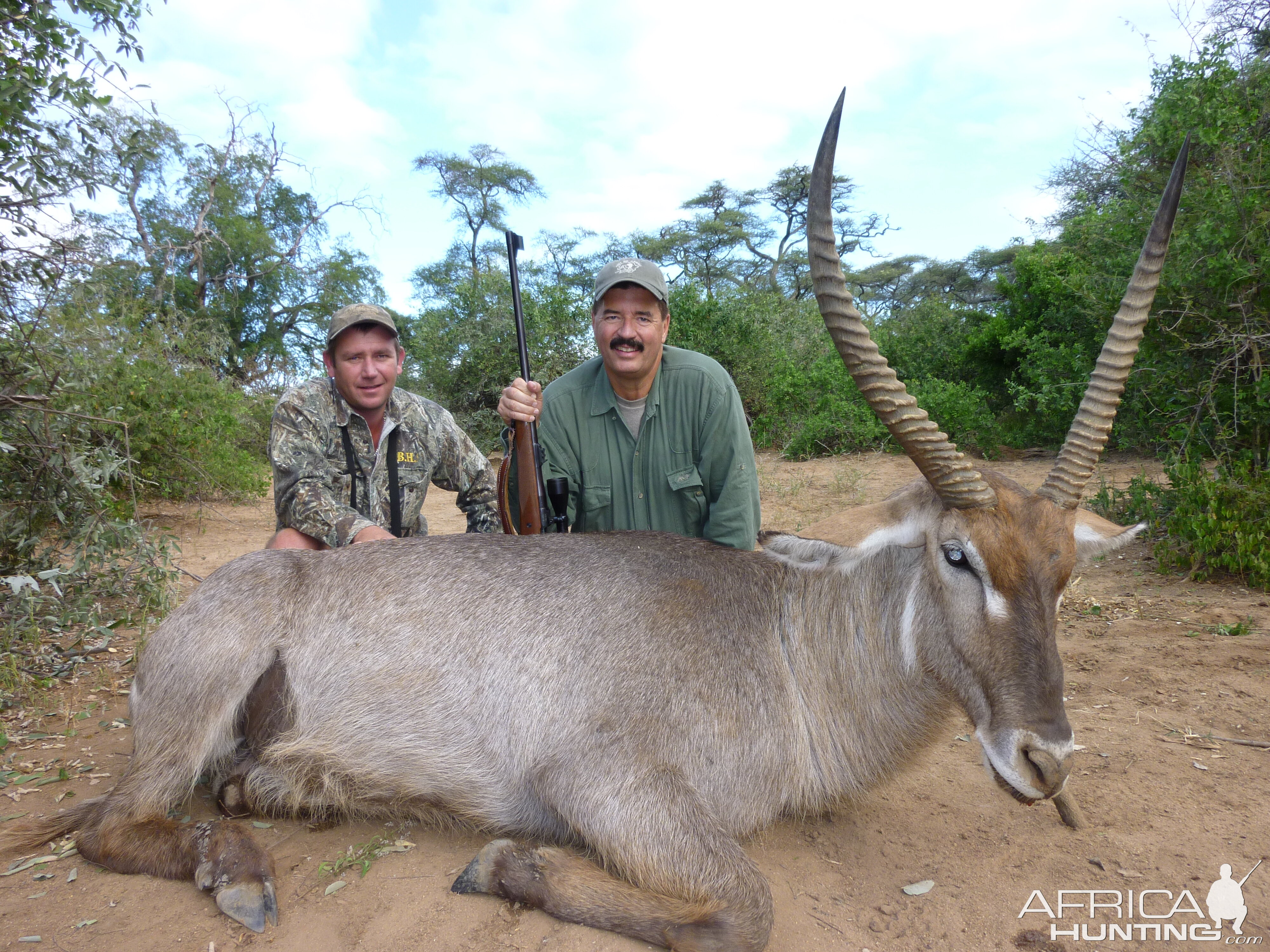 Waterbuck Zim 2010