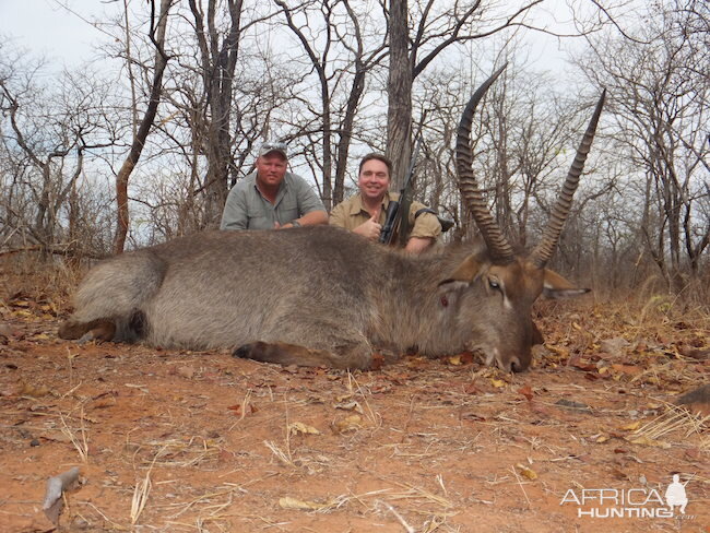 Waterbuck Zimbabwe Hunt