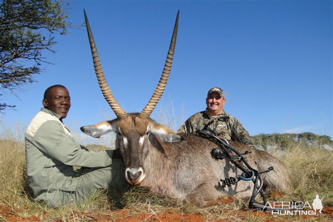 Waterbuck