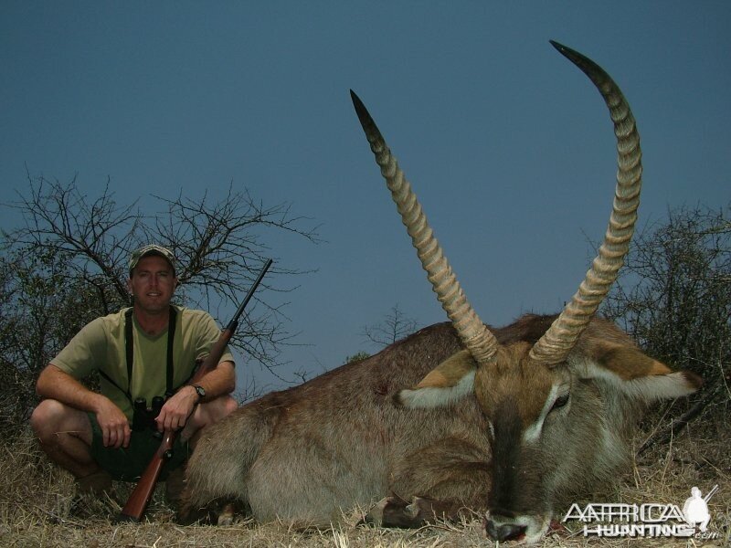 Waterbuck