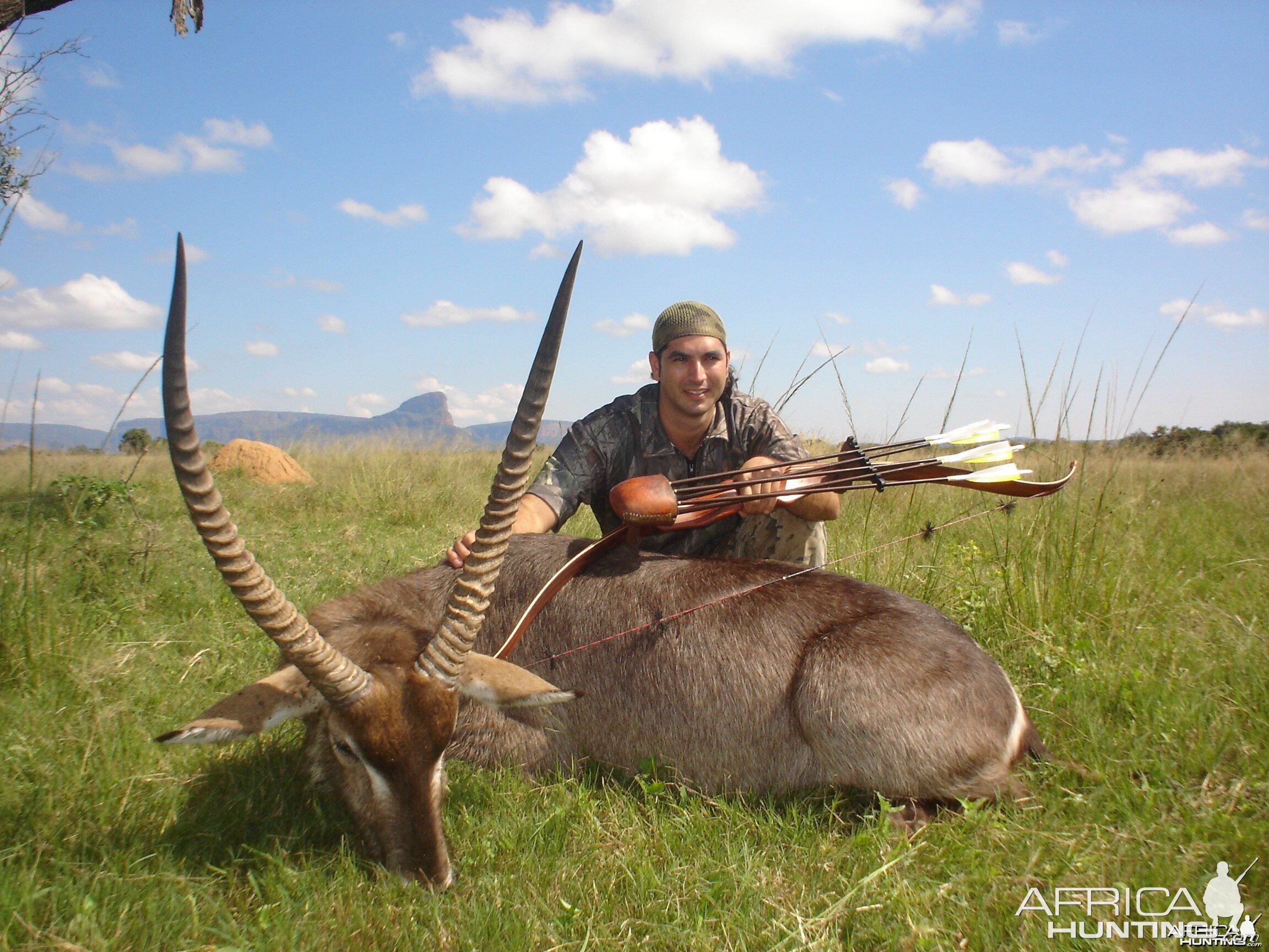 Waterbuck