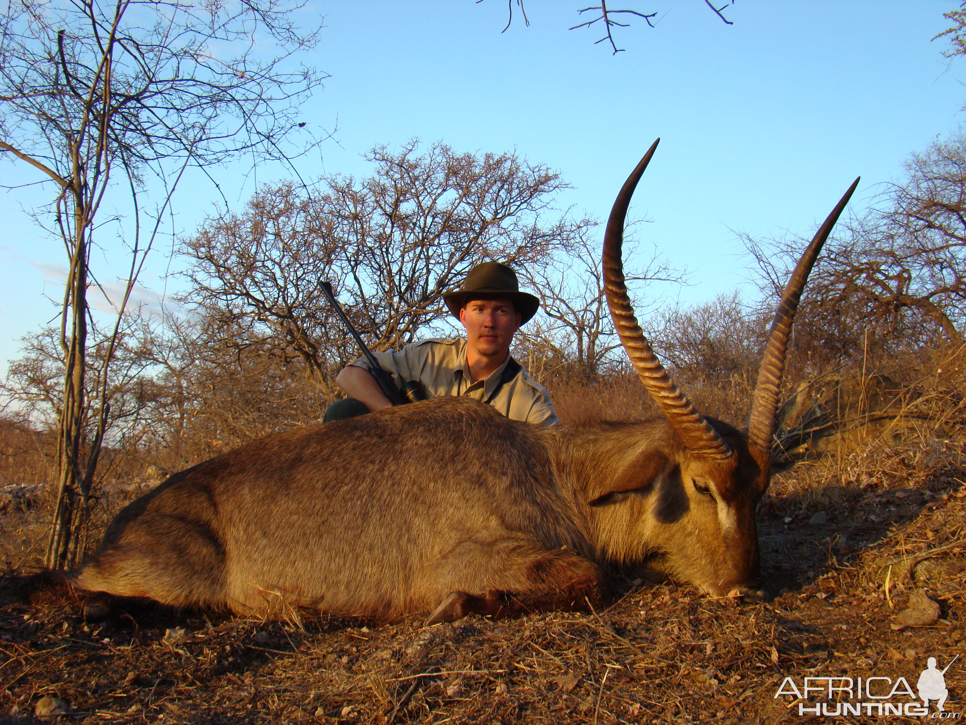 Waterbuck