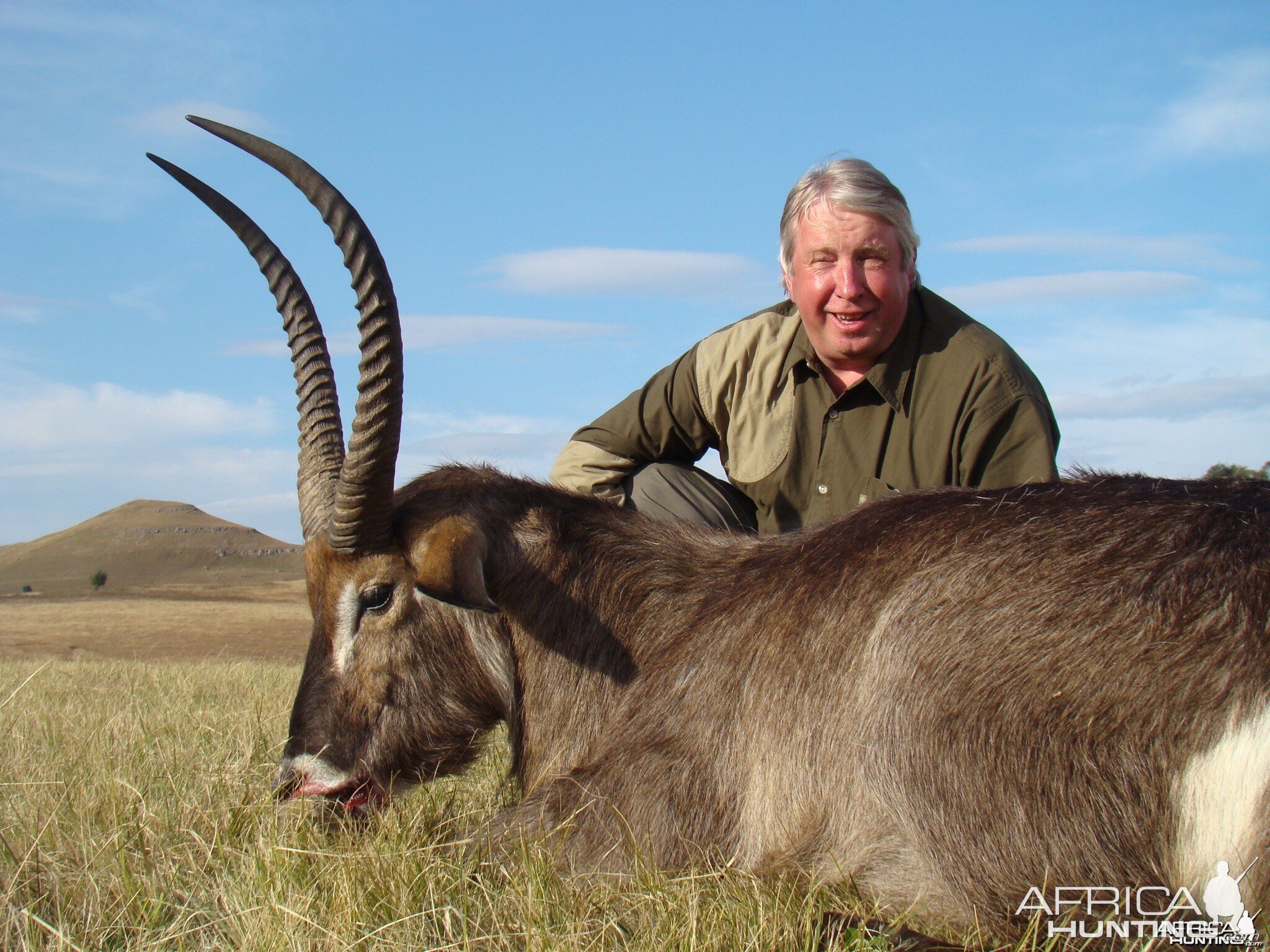 Waterbuck