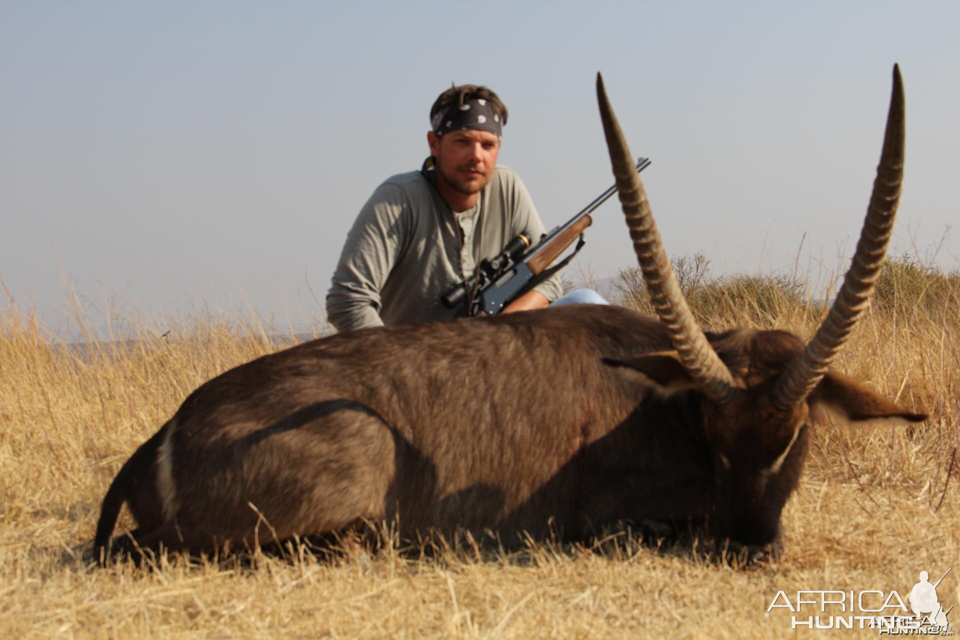 Waterbuck