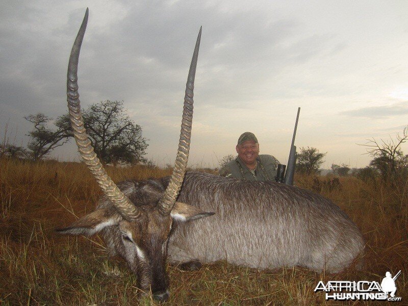 Waterbuck