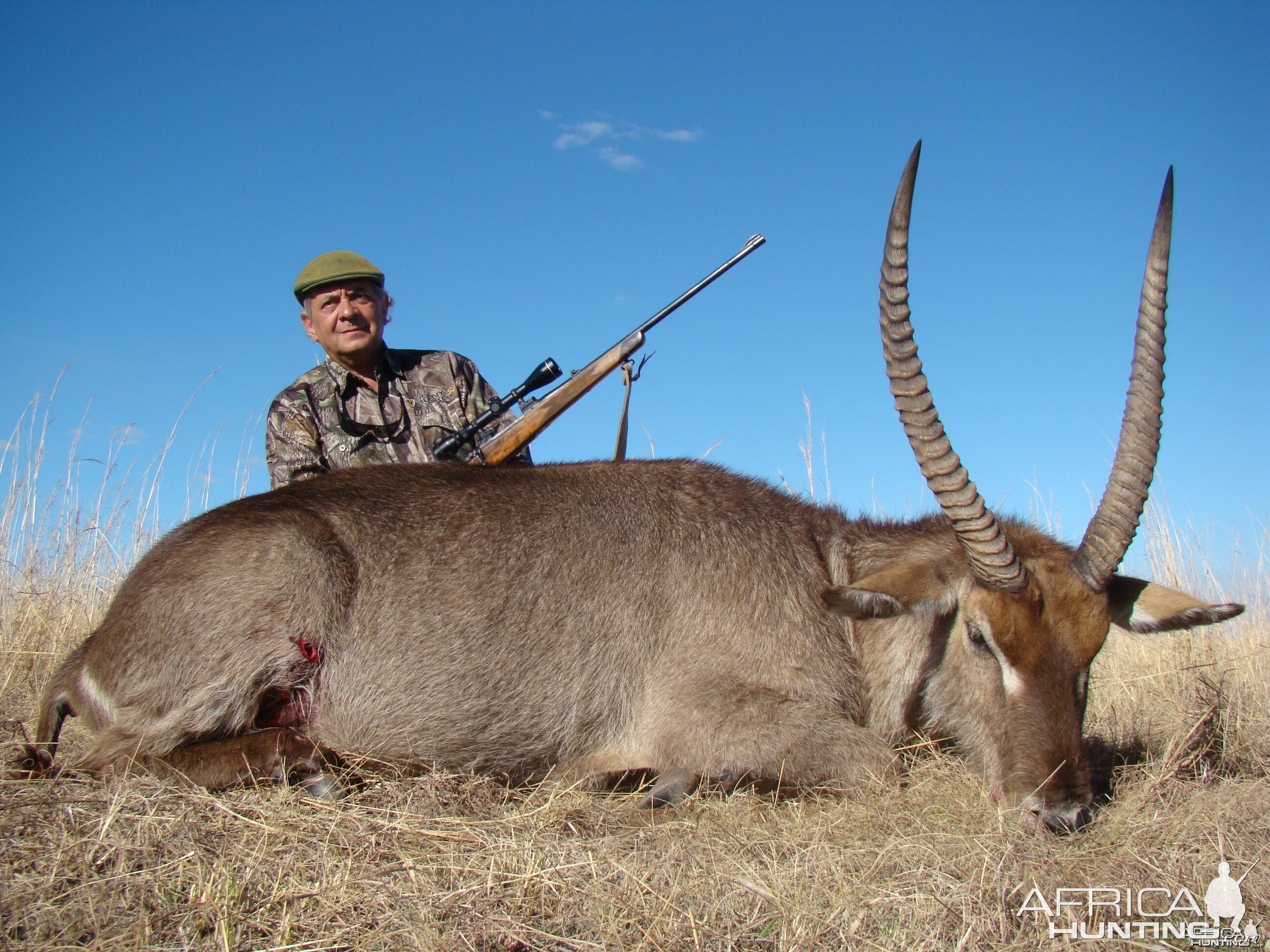 Waterbuck